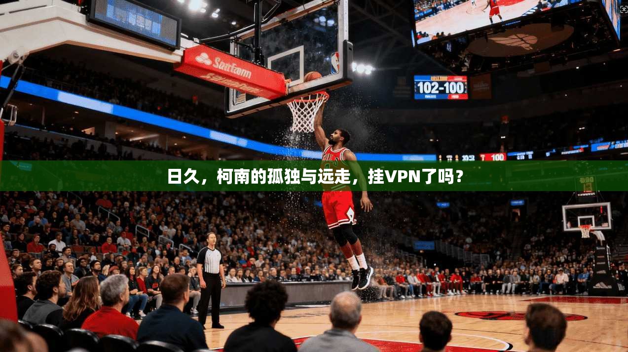 日久,柯南的孤独与远走,挂VPN了吗?