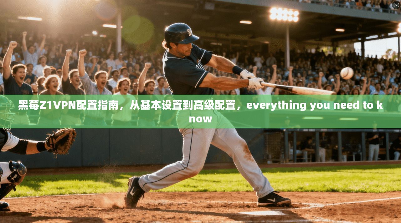 黑莓Z1VPN配置指南,从基本设置到高级配置,everything you need to know