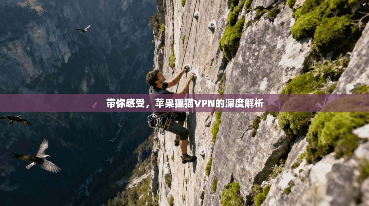 带你感受,苹果狸猫VPN的深度解析