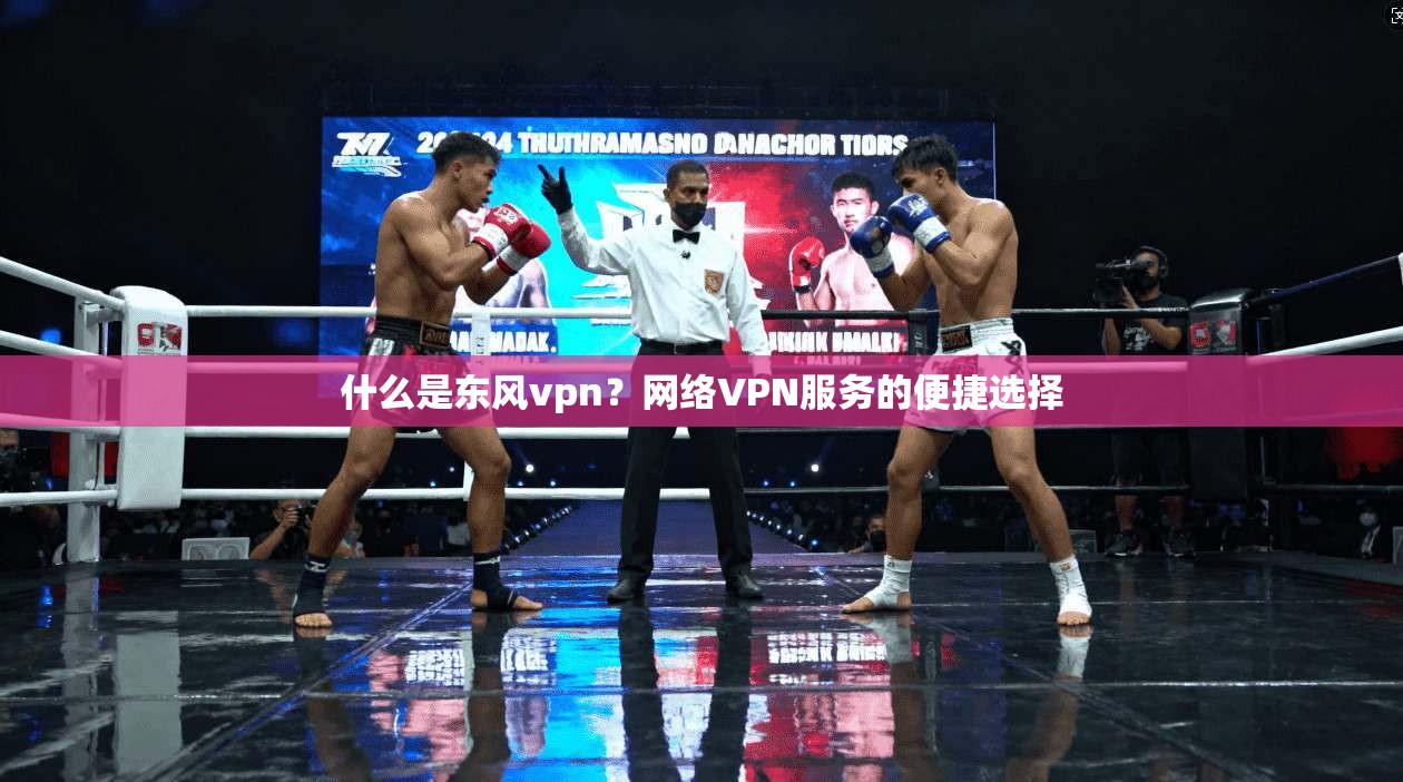 什么是东风vpn?网络VPN服务的便捷选择