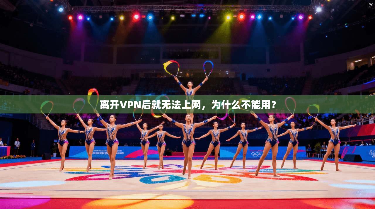 离开VPN后就无法上网,为什么不能用? 第1张 离开VPN后就无法上网,为什么不能用? 第1张
