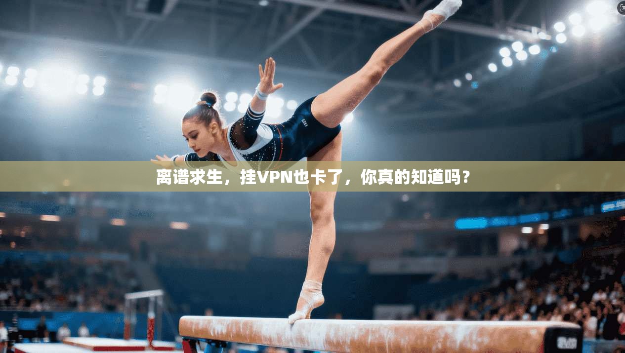 离谱求生,挂VPN也卡了,你真的知道吗? 第1张 离谱求生,挂VPN也卡了,你真的知道吗? 第1张