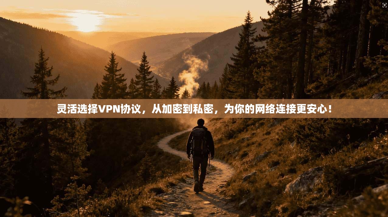 灵活选择VPN协议,从加密到私密,为你的网络连接更安心! 第1张 灵活选择VPN协议,从加密到私密,为你的网络连接更安心! 第1张