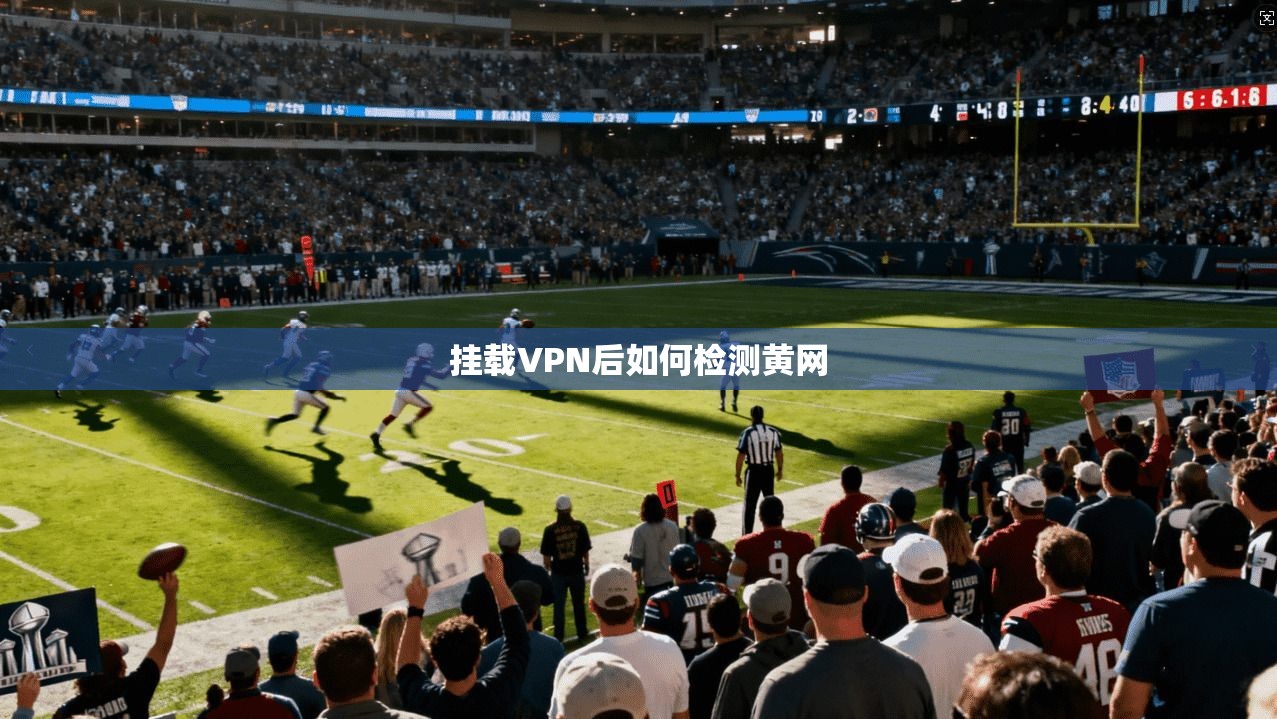 挂载VPN后如何检测黄网  第1张