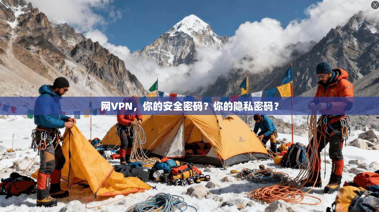 网VPN,你的安全密码?你的隐私密码?