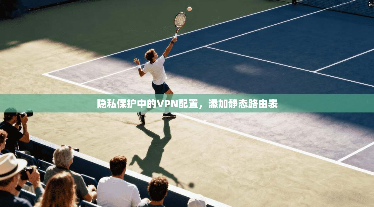 隐私保护中的VPN配置,添加静态路由表