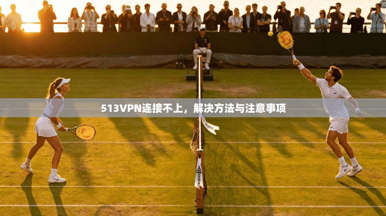513VPN连接不上,解决方法与注意事项 第1张 513VPN连接不上,解决方法与注意事项 第1张