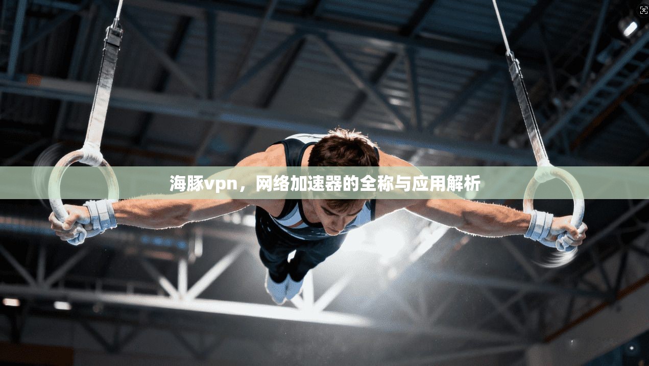 海豚vpn,网络加速器的全称与应用解析