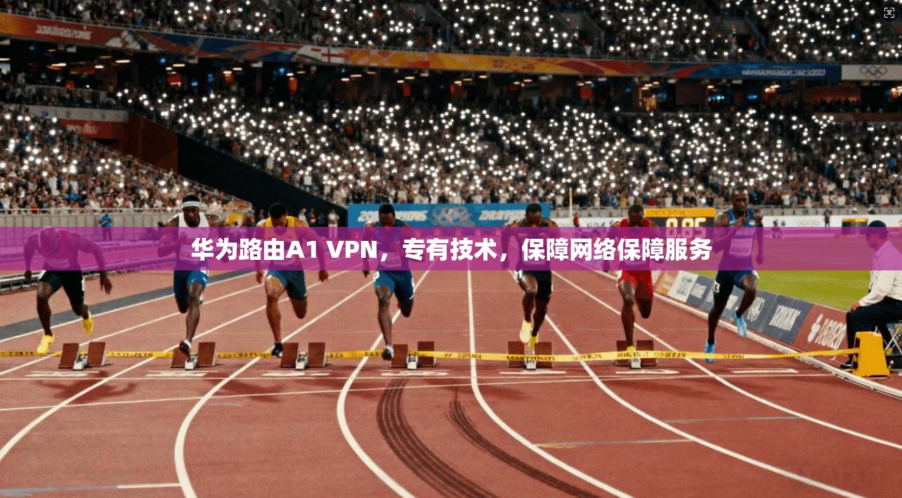 华为路由A1 VPN,专有技术,保障网络保障服务