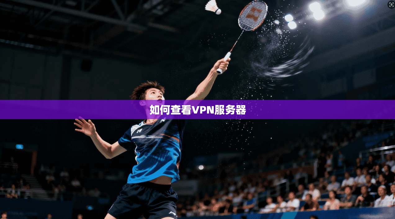 如何查看VPN服务器 第1张 如何查看VPN服务器 第1张