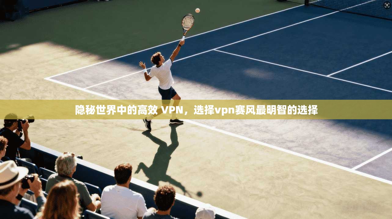 隐秘世界中的高效 VPN,选择vpn赛风最明智的选择