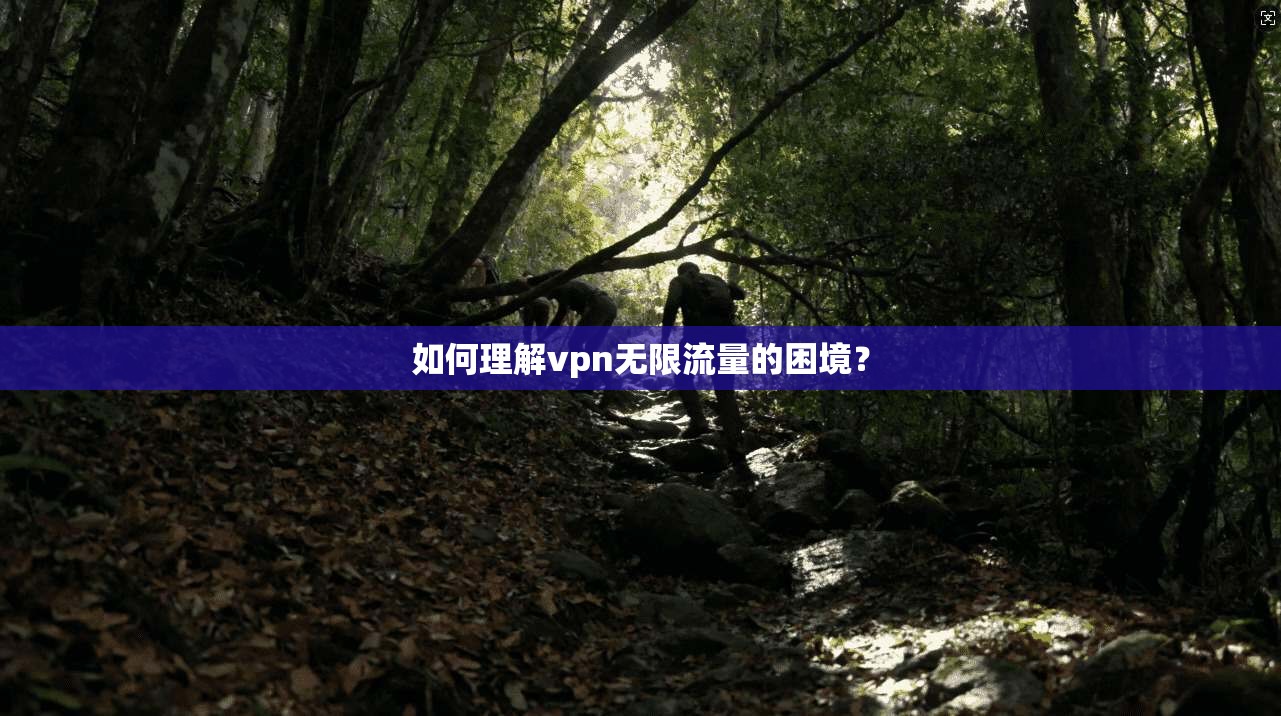 如何理解vpn无限流量的困境?