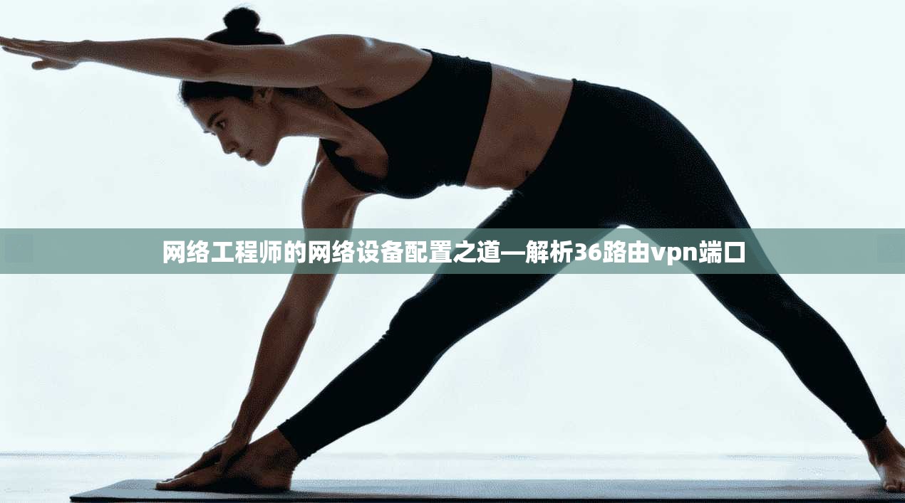 网络工程师的网络设备配置之道—解析36路由vpn端口
