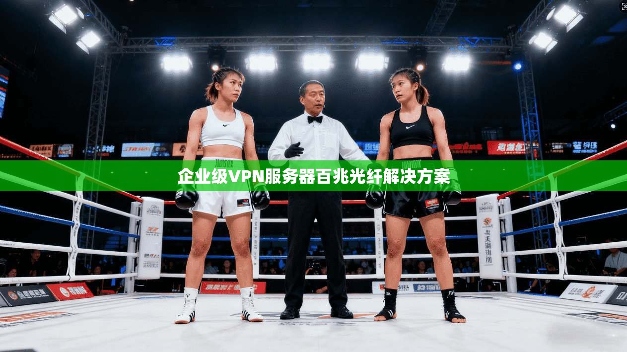 企业级VPN服务器百兆光纤解决方案 第1张 企业级VPN服务器百兆光纤解决方案 第1张