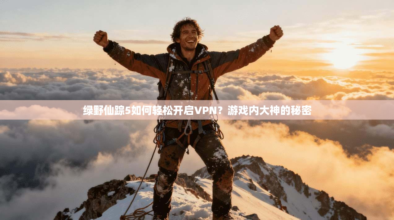 绿野仙踪5如何轻松开启VPN?游戏内大神的秘密 第1张 绿野仙踪5如何轻松开启VPN?游戏内大神的秘密 第1张