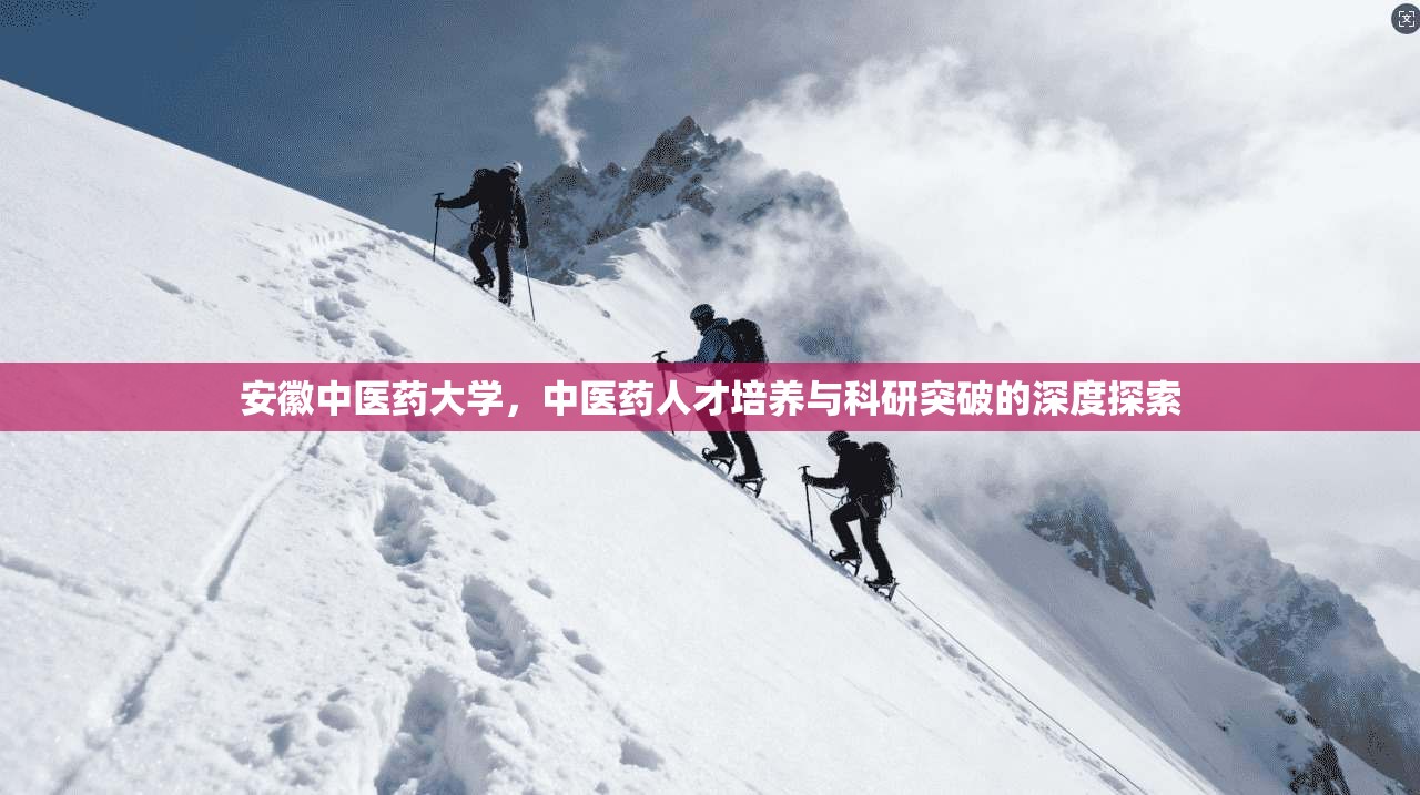 安徽中医药大学,中医药人才培养与科研突破的深度探索 第1张 安徽中医药大学,中医药人才培养与科研突破的深度探索 第1张