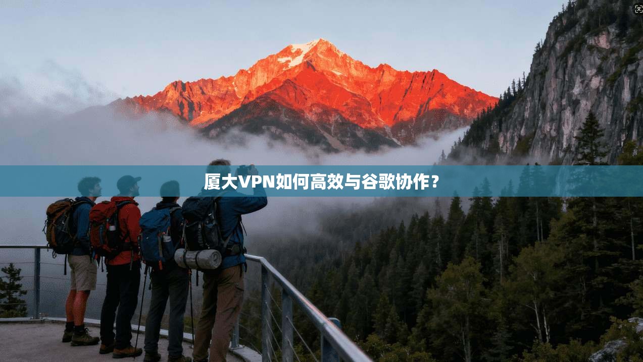 厦大VPN如何高效与谷歌协作？  第1张