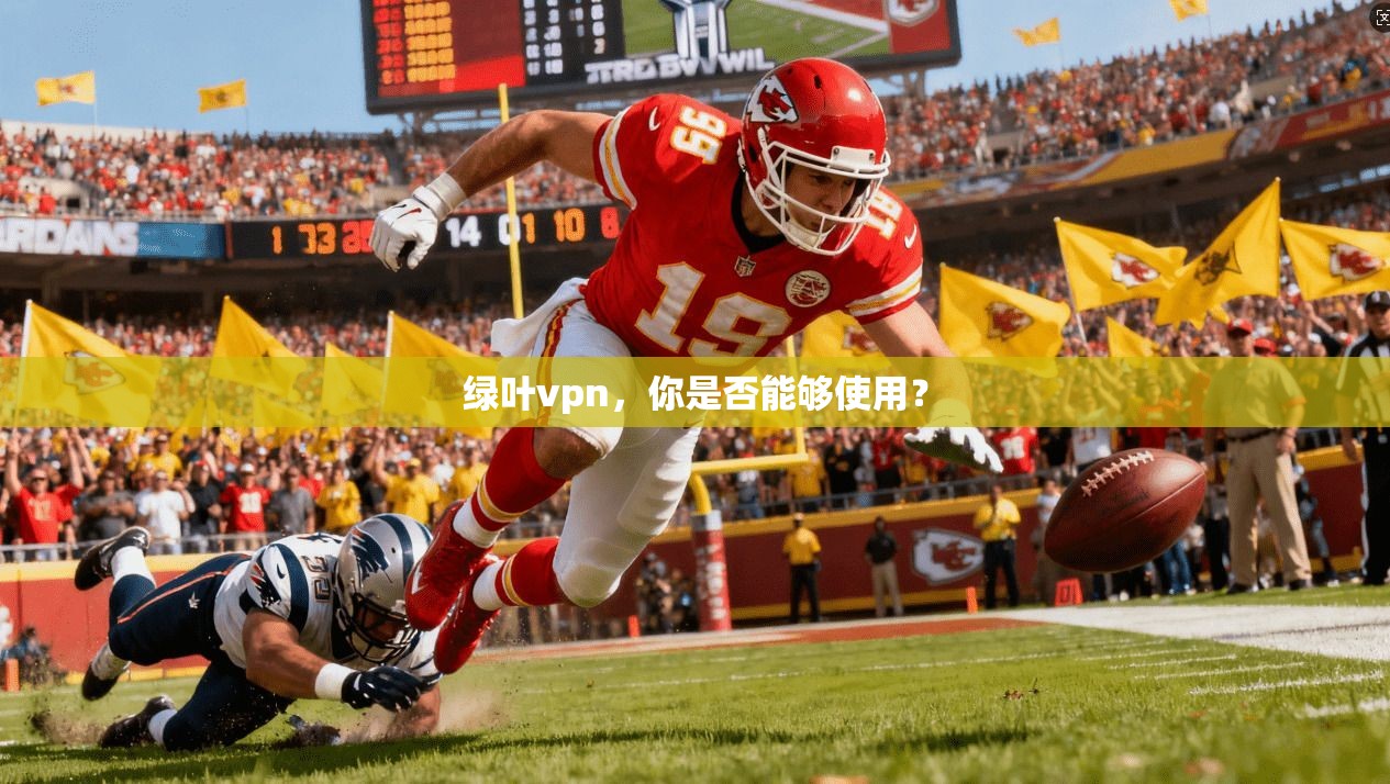 绿叶vpn,你是否能够使用? 第1张 绿叶vpn,你是否能够使用? 第1张