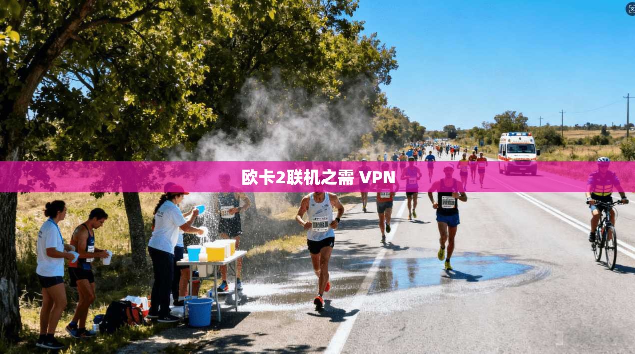 欧卡2联机之需 VPN 第1张 欧卡2联机之需 VPN 第1张
