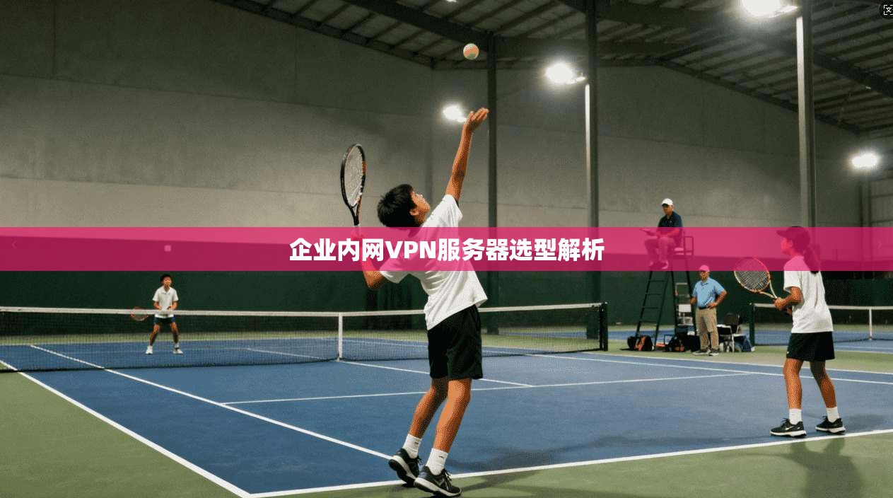 企业内网VPN服务器选型解析 第1张 企业内网VPN服务器选型解析 第1张