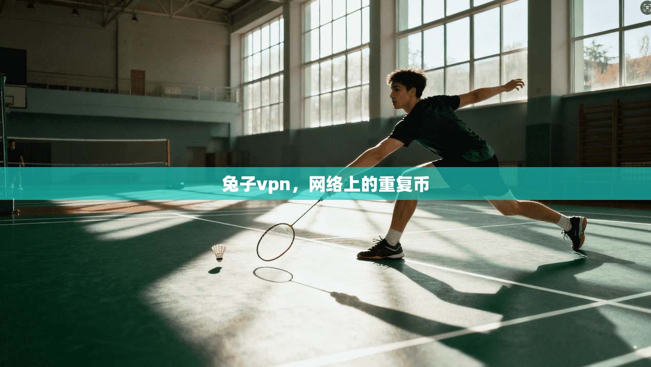 兔子vpn,网络上的重复币 第1张 兔子vpn,网络上的重复币 第1张