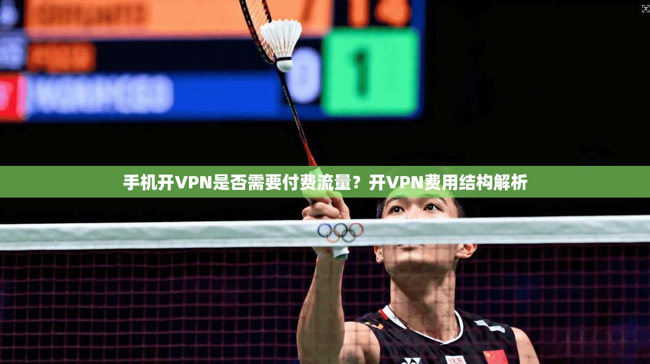 手机开VPN是否需要付费流量？开VPN费用结构解析  第1张