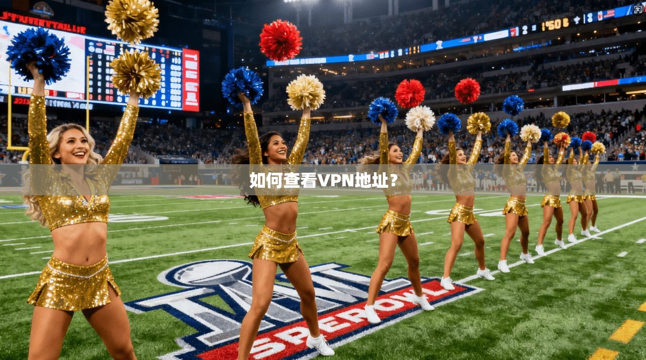 如何查看VPN地址? 第1张 如何查看VPN地址? 第1张