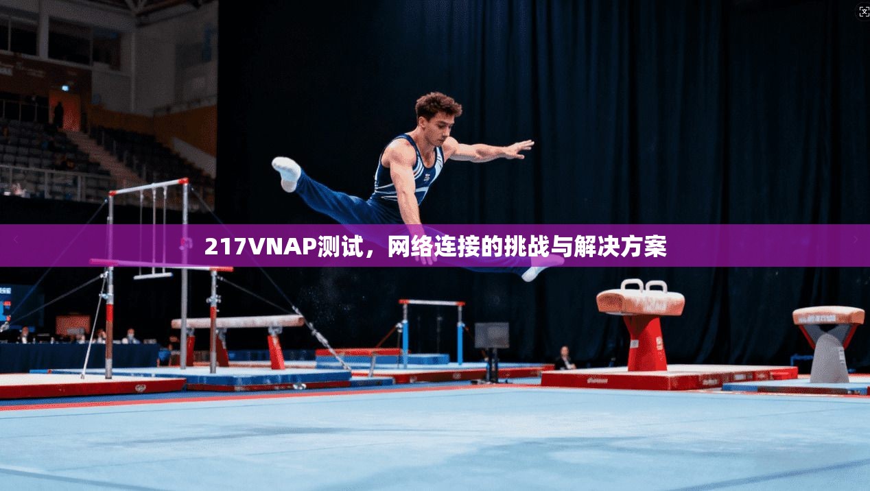 217VNAP测试,网络连接的挑战与解决方案 第1张 217VNAP测试,网络连接的挑战与解决方案 第1张