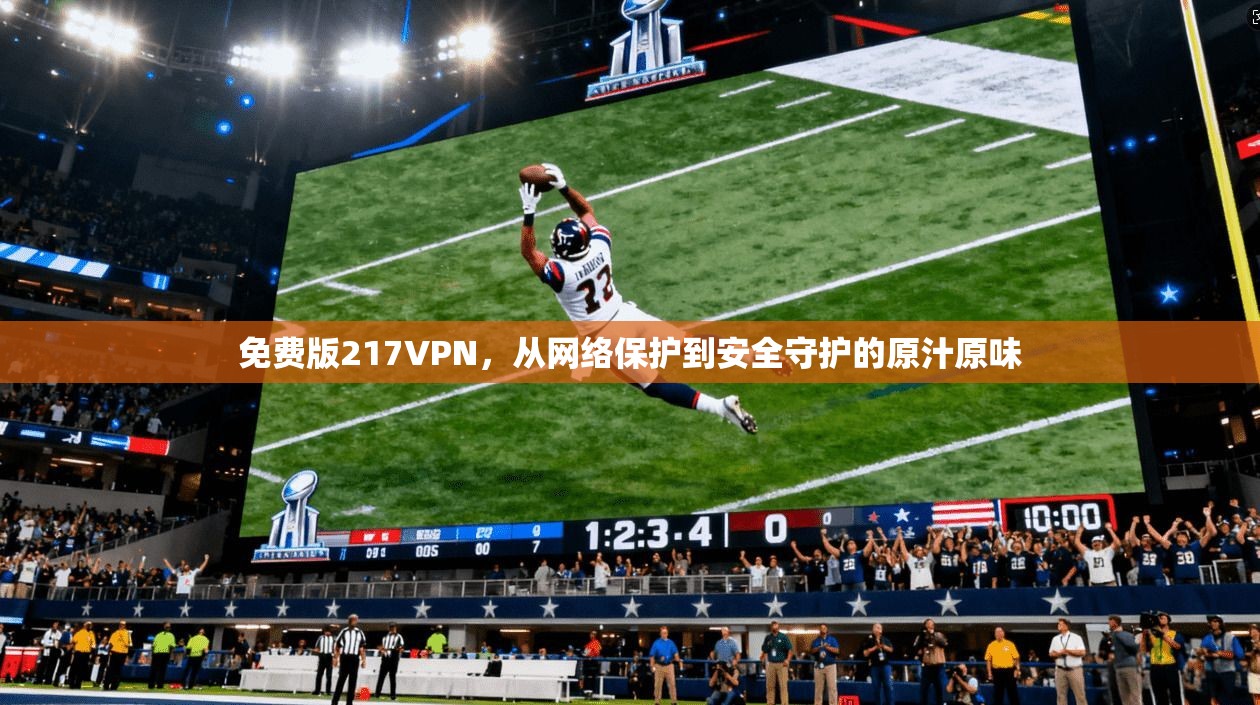 免费版217VPN，从网络保护到安全守护的原汁原味  第1张