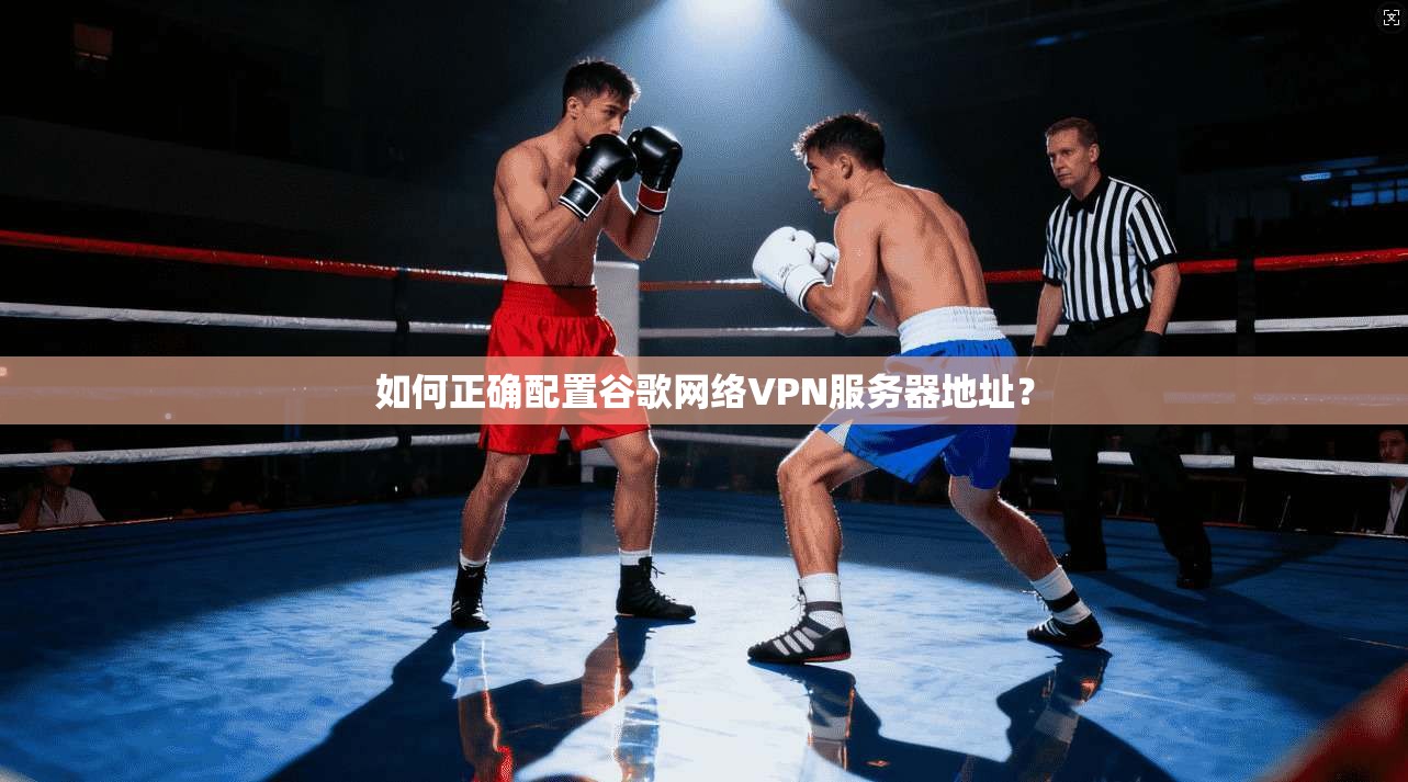 如何正确配置谷歌网络VPN服务器地址?