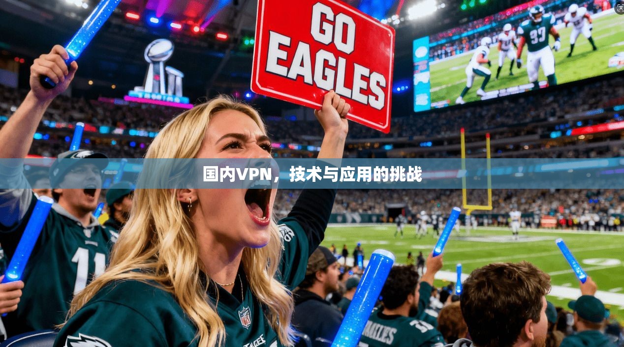 国内VPN,技术与应用的挑战 第1张 国内VPN,技术与应用的挑战 第1张