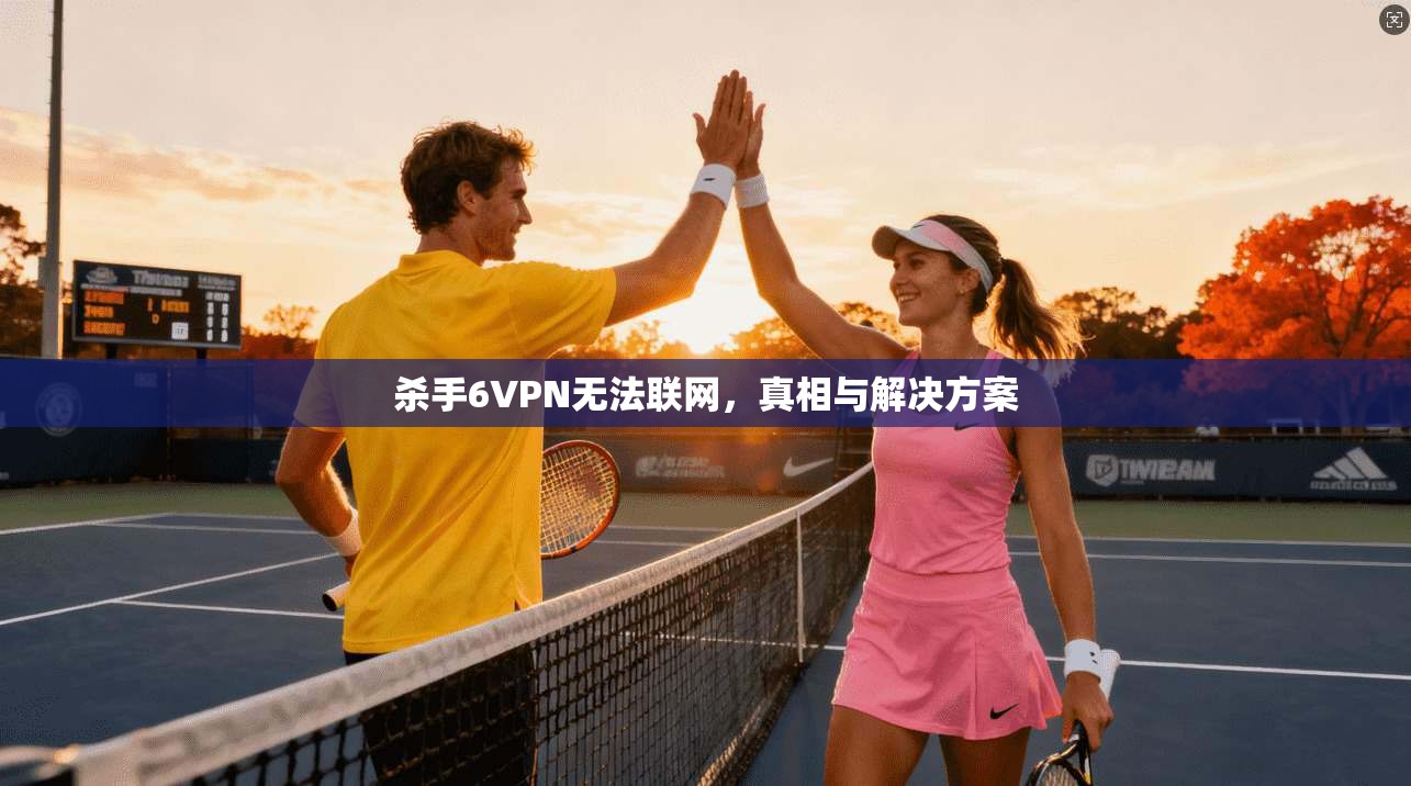 杀手6VPN无法联网,真相与解决方案