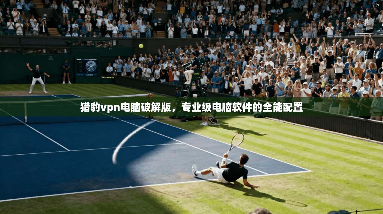 猎豹vpn电脑破解版，专业级电脑软件的全能配置  第1张