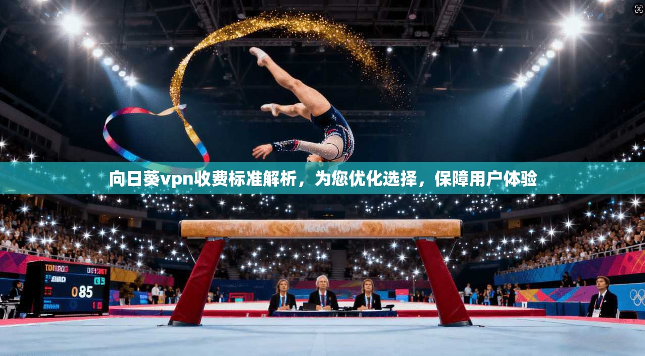 向日葵vpn收费标准解析,为您优化选择,保障用户体验
