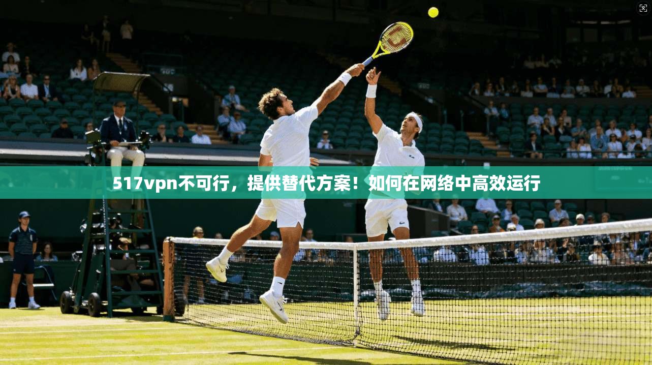 517vpn不可行,提供替代方案!如何在网络中高效运行 第1张 517vpn不可行,提供替代方案!如何在网络中高效运行 第1张