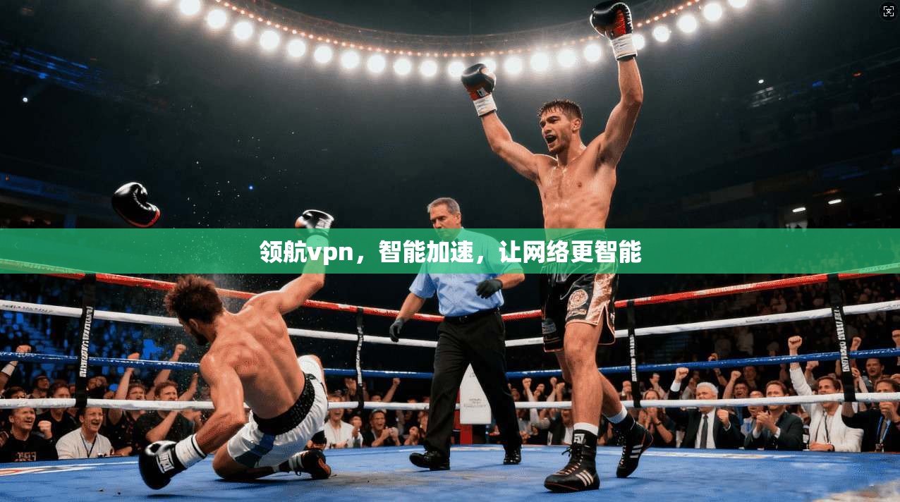领航vpn,智能加速,让网络更智能 第1张 领航vpn,智能加速,让网络更智能 第1张