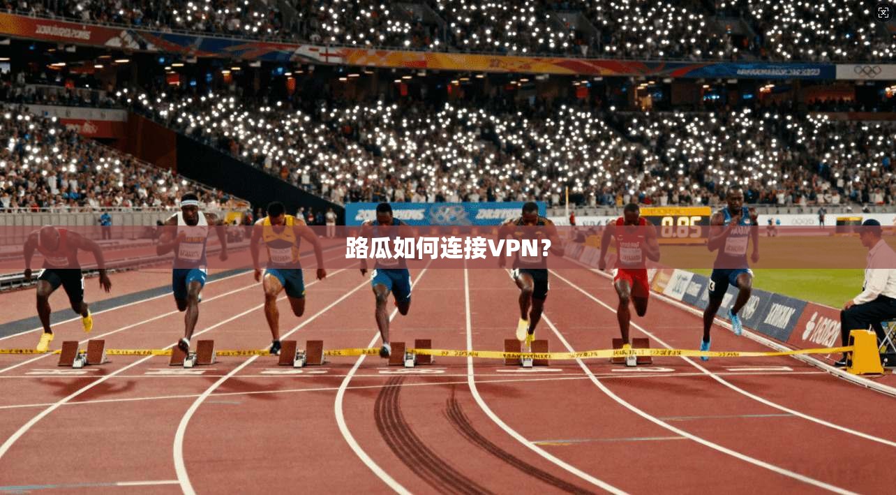 路瓜如何连接VPN? 第1张 路瓜如何连接VPN? 第1张