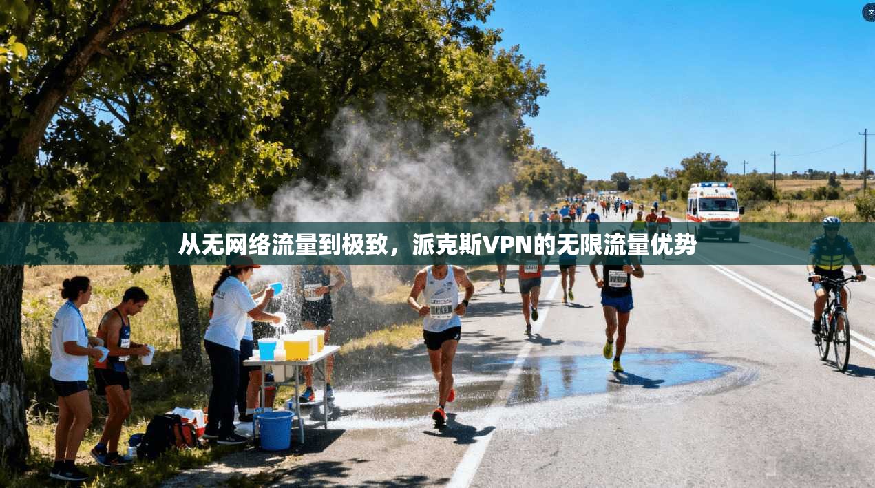 从无网络流量到极致,派克斯VPN的无限流量优势 第1张 从无网络流量到极致,派克斯VPN的无限流量优势 第1张