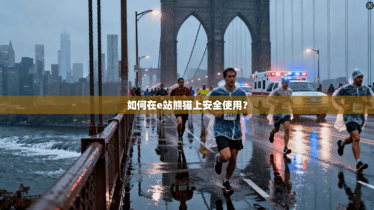 如何在e站熊猫上安全使用? 第1张 如何在e站熊猫上安全使用? 第1张