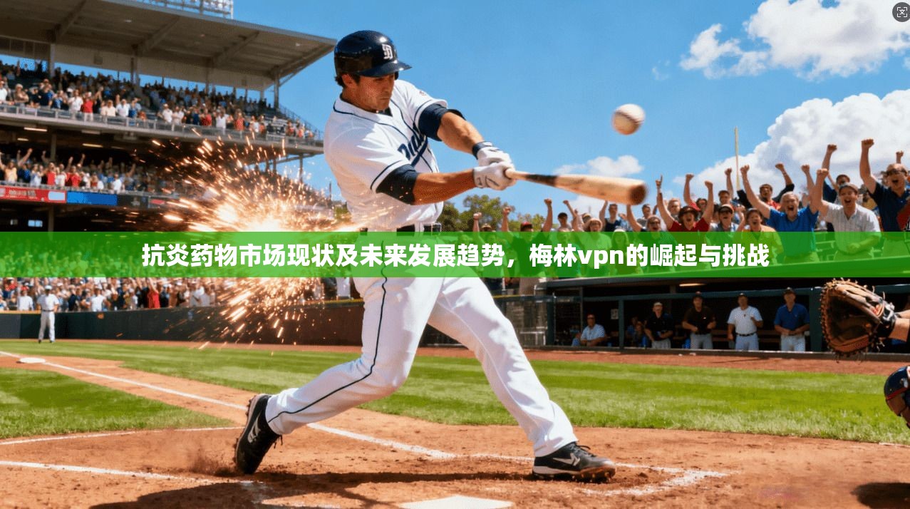 抗炎药物市场现状及未来发展趋势,梅林vpn的崛起与挑战 第1张 抗炎药物市场现状及未来发展趋势,梅林vpn的崛起与挑战 第1张