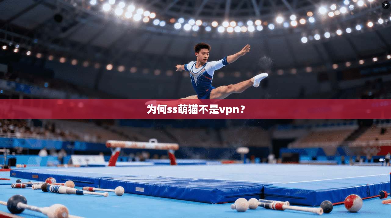 为何ss萌猫不是vpn? 第1张 为何ss萌猫不是vpn? 第1张