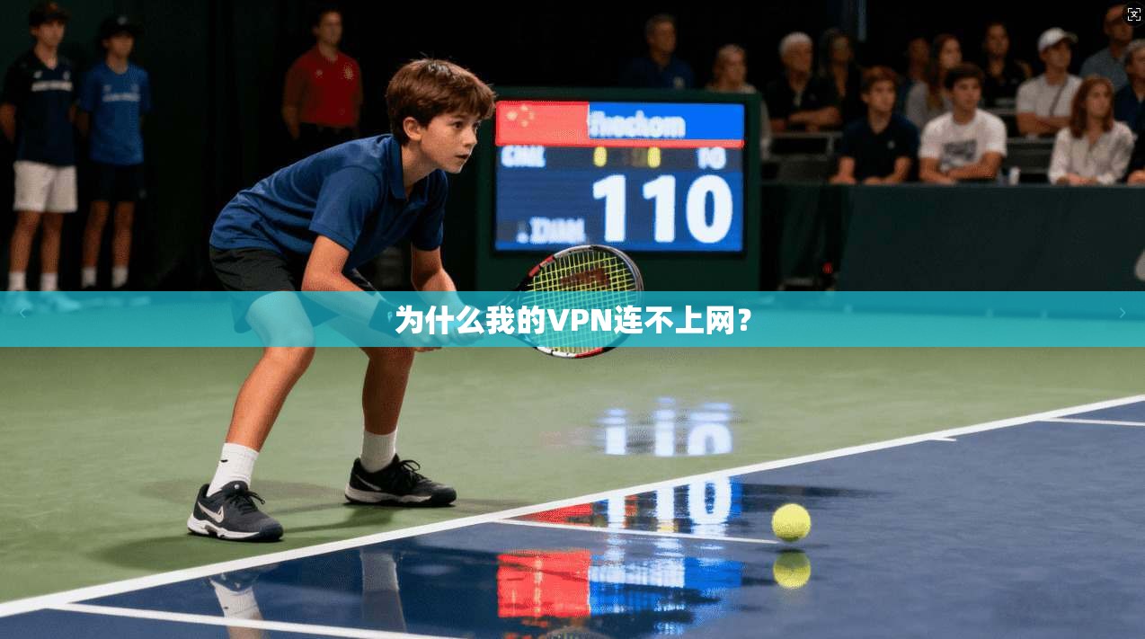为什么我的VPN连不上网? 第1张 为什么我的VPN连不上网? 第1张