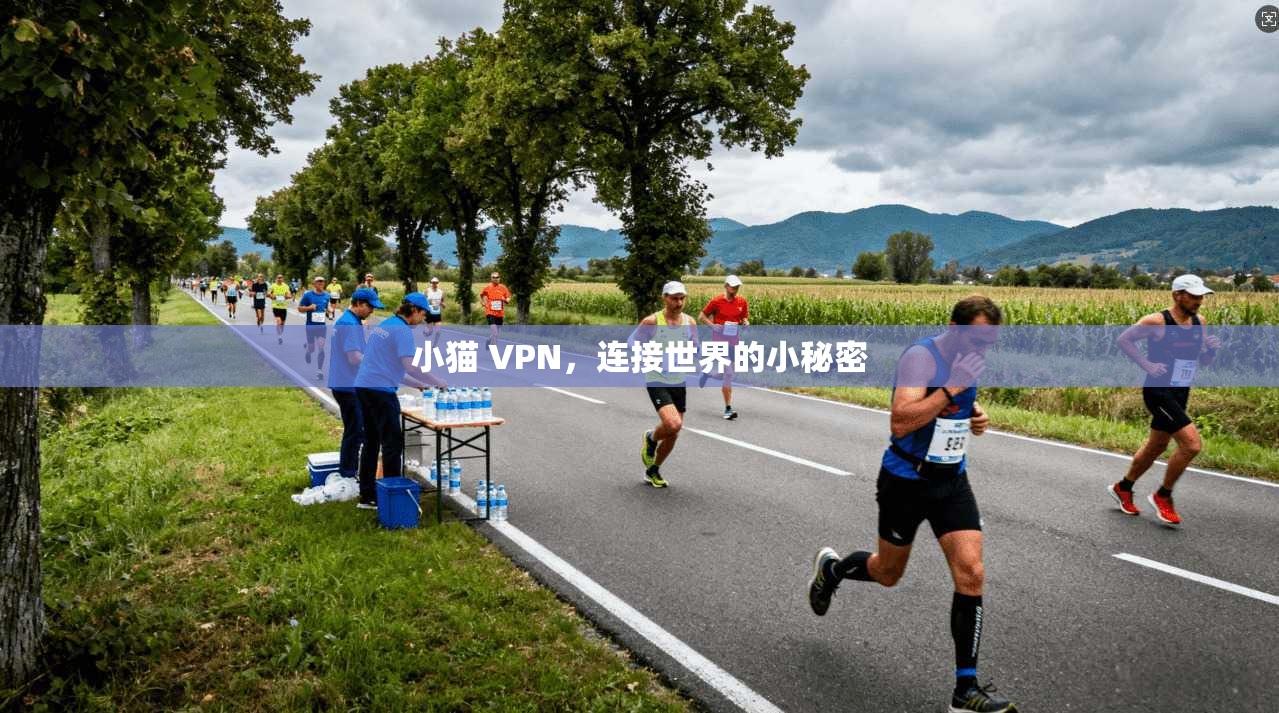 小猫 VPN,连接世界的小秘密 第1张 小猫 VPN,连接世界的小秘密 第1张