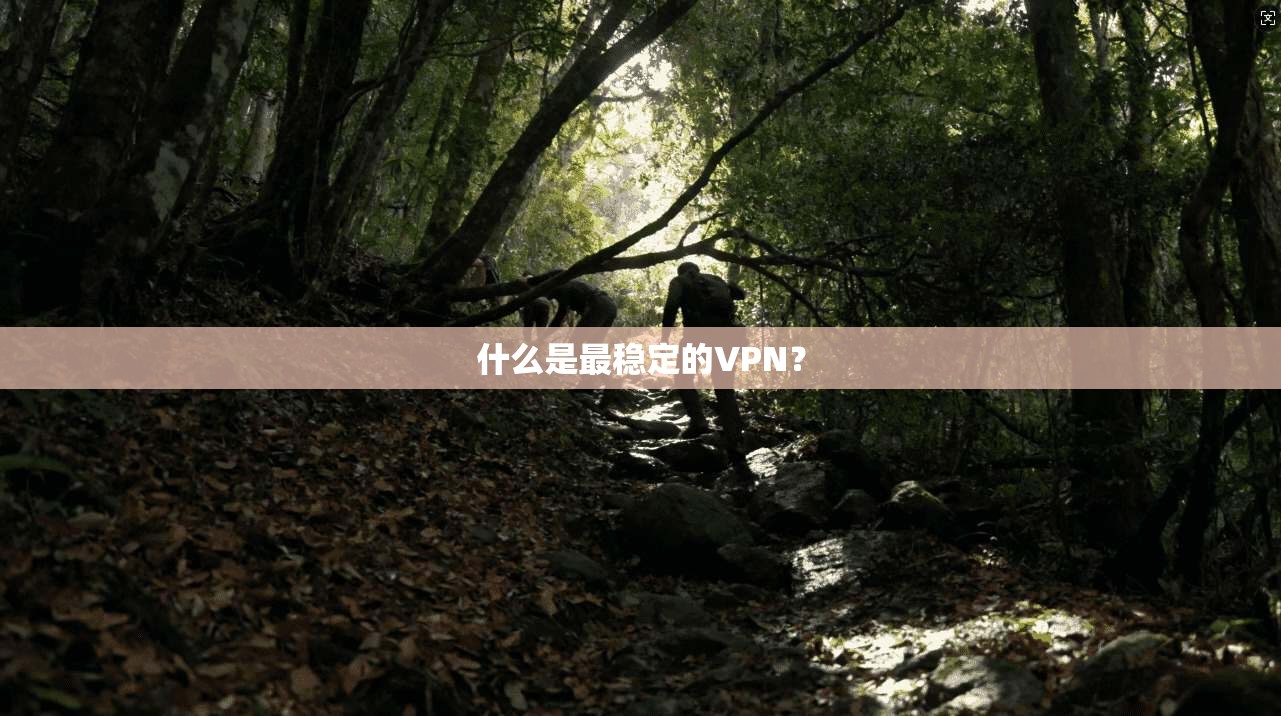 什么是最稳定的VPN? 第1张 什么是最稳定的VPN? 第1张
