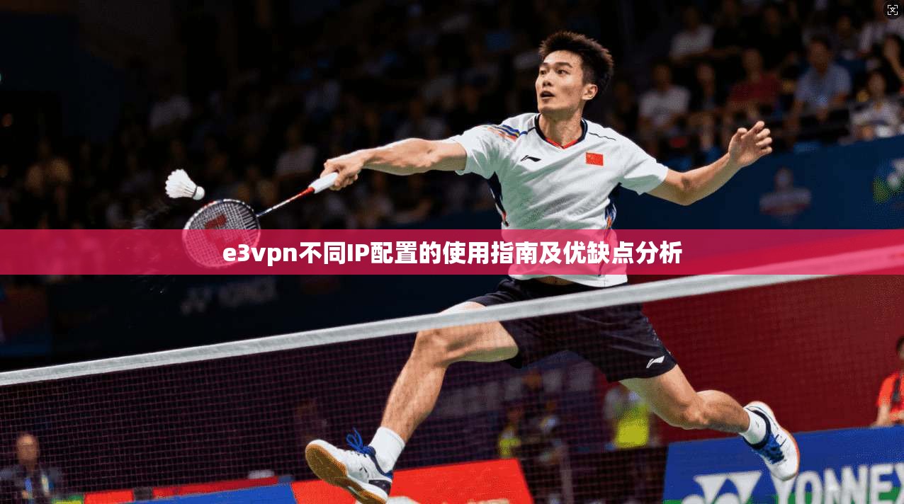 e3vpn不同IP配置的使用指南及优缺点分析