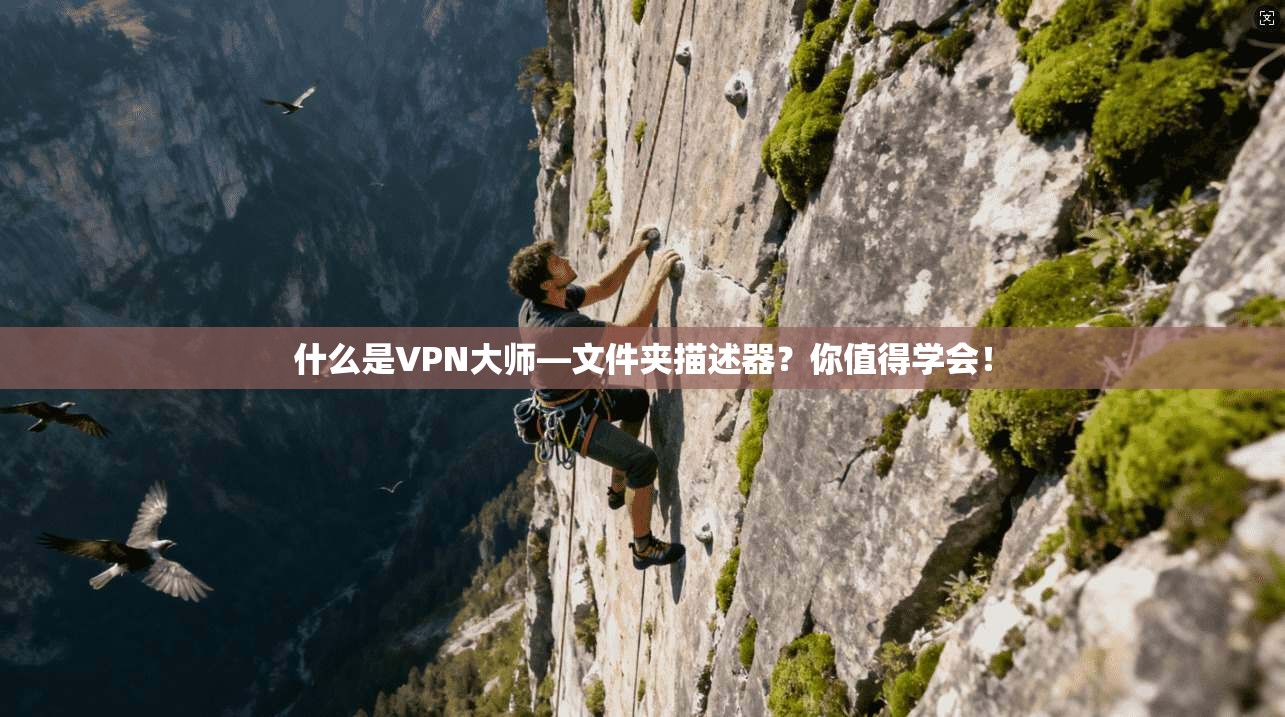 什么是VPN大师—文件夹描述器?你值得学会! 第1张 什么是VPN大师—文件夹描述器?你值得学会! 第1张