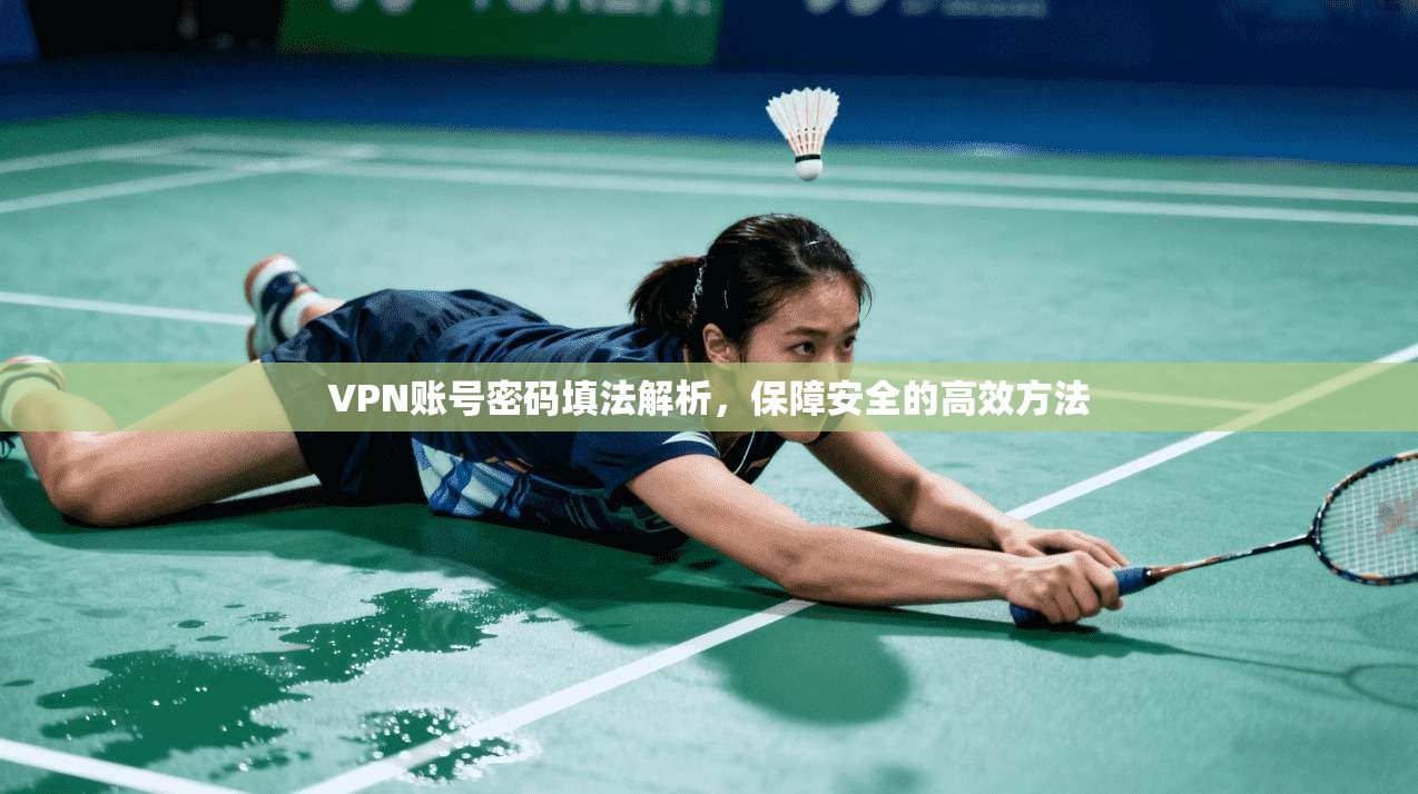 VPN账号密码填法解析,保障安全的高效方法