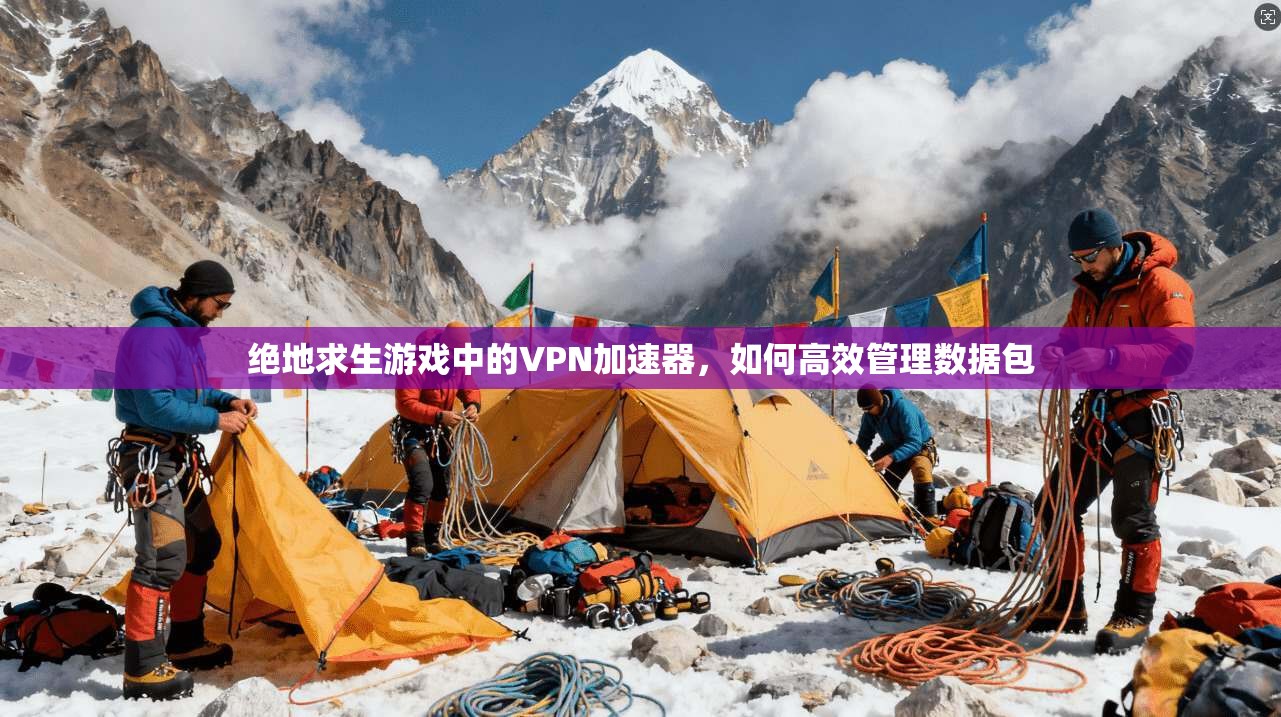 绝地求生游戏中的VPN加速器,如何高效管理数据包