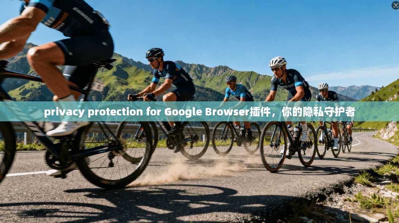 privacy protection for Google Browser插件,你的隐私守护者 第1张 privacy protection for Google Browser插件,你的隐私守护者 第1张