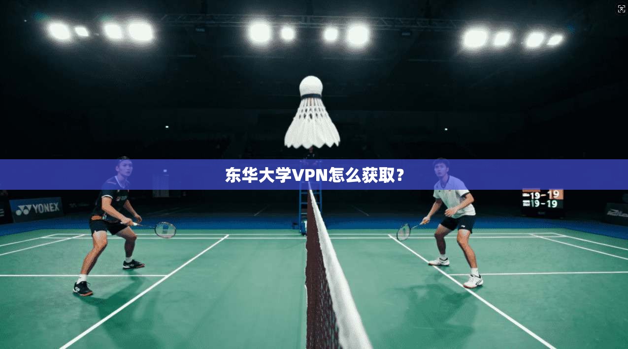 东华大学VPN怎么获取？  第1张